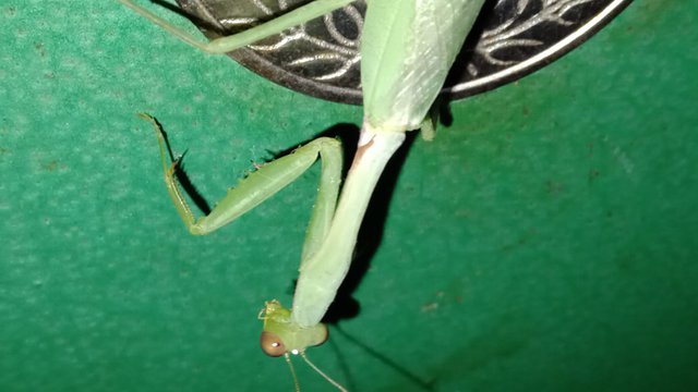 IMG-20250715-WA0087.jpg