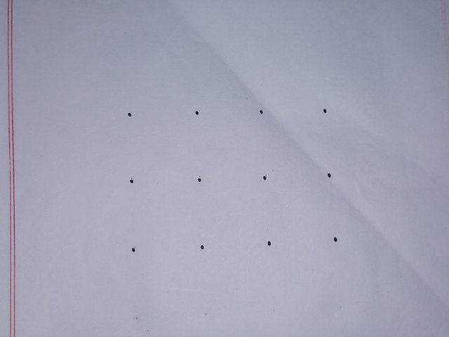 20250606_105538.jpg