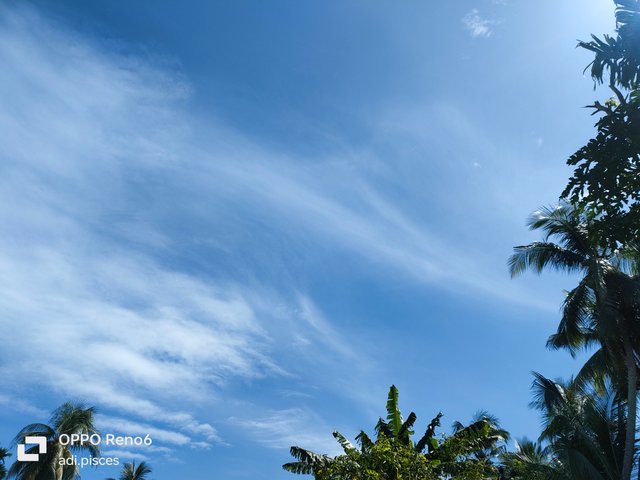 IMG20250608103121.jpg
