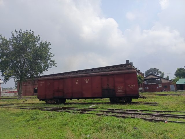 1000049243.jpg