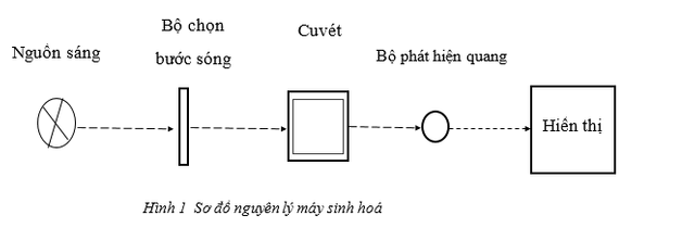 nguyen cong trinhh.png