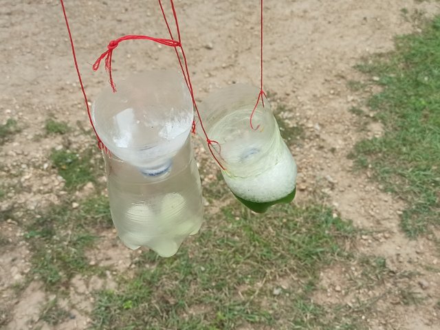 IMG_20250604_102440.jpg