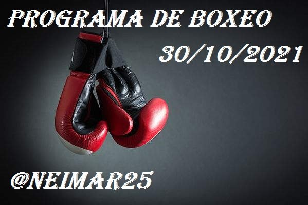 600x400_boxeo-portada.jpg