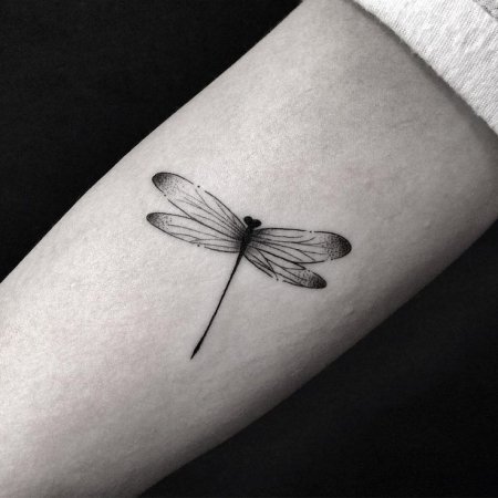 e0cdf680b15d5e62c30cf66e9dd566fe-dragonfly-tattoo-design-dragonfly-tattoo-simple-450x450.jpg