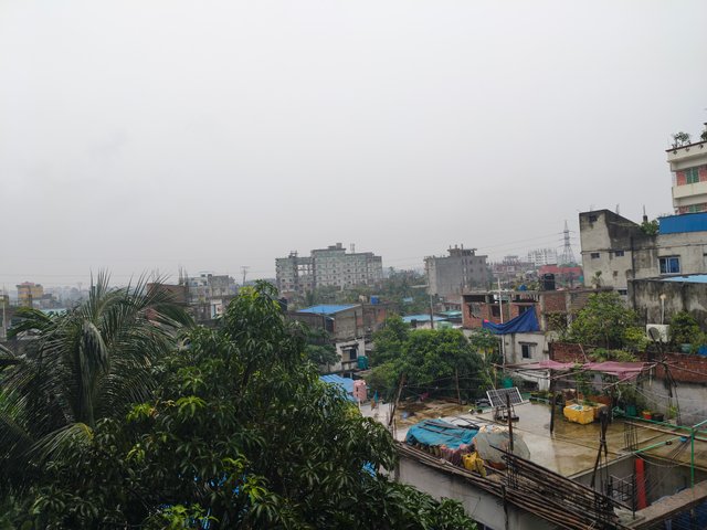 IMG20250717093807.jpg