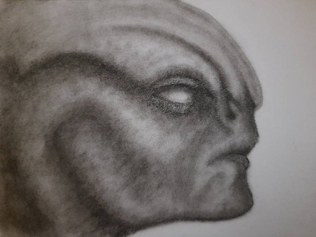 20250716_112316.jpg