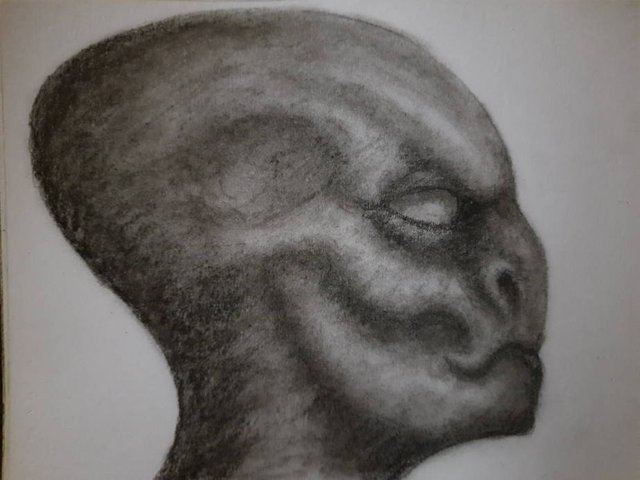 20251007_104240.jpg