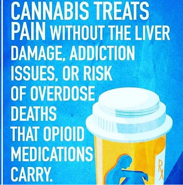cannapin.png
