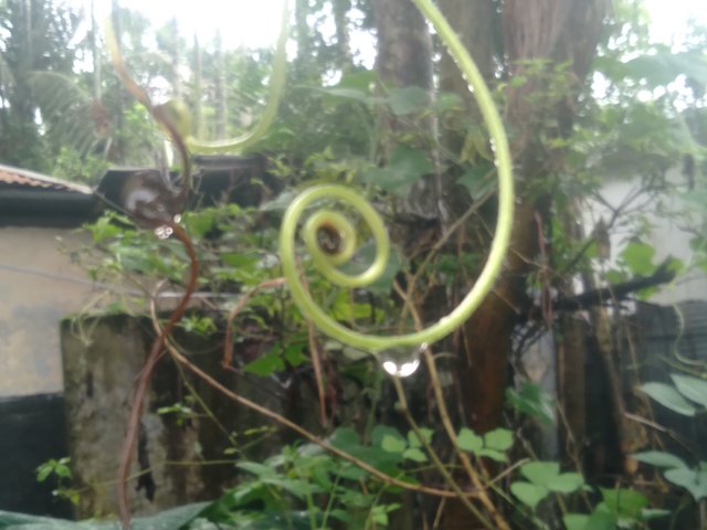 20250623_101913.jpg