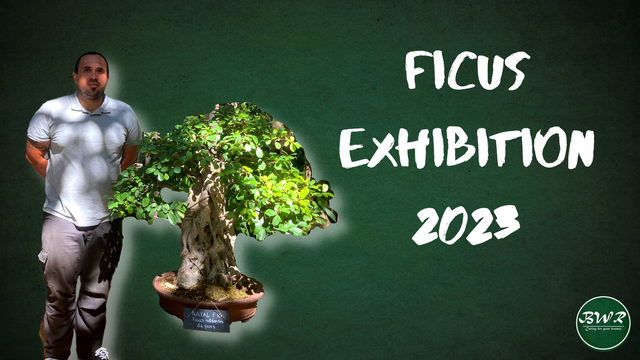 Ficus Exhibition  2023.png