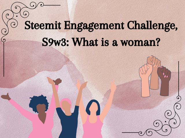 Steemit Engagement Challenge, S9w3 What is a woman.png