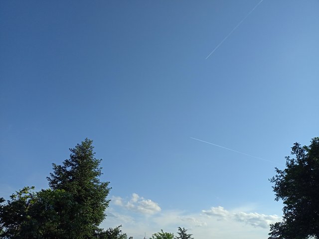 IMG_20250511_182549.jpg