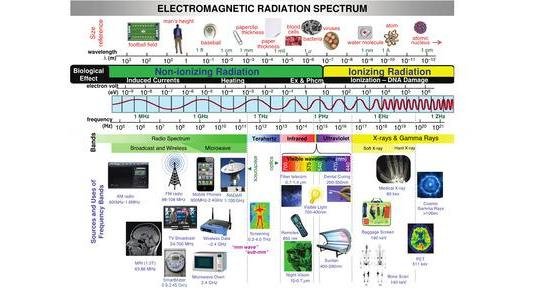 rad spectrum.jpg