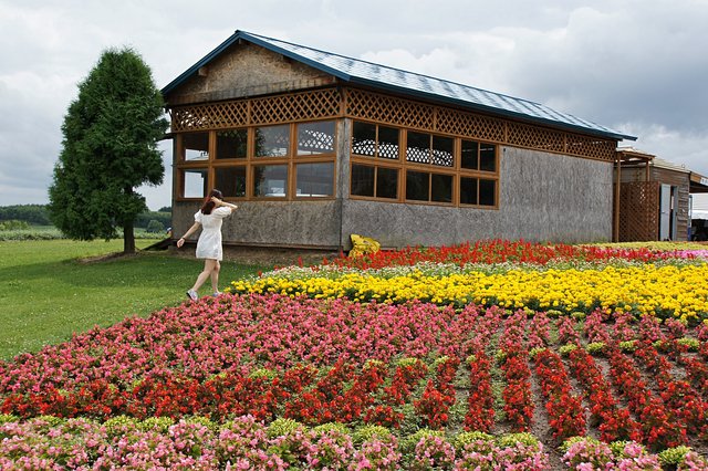 Japan-Hokkaido12802-765.jpg