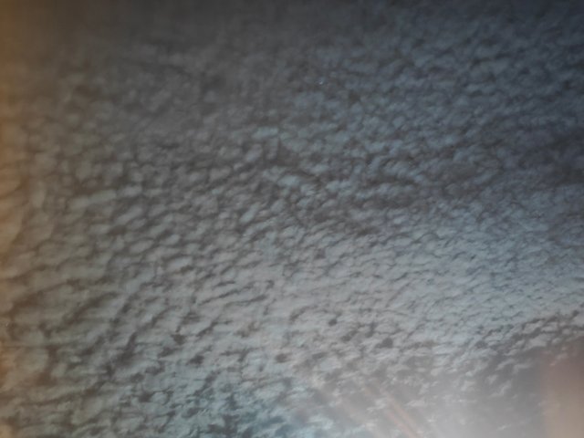1000085068.jpg