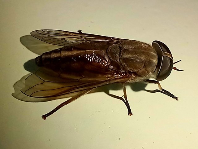 20241017_152812.jpg