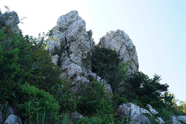 b-DSC08368.JPG