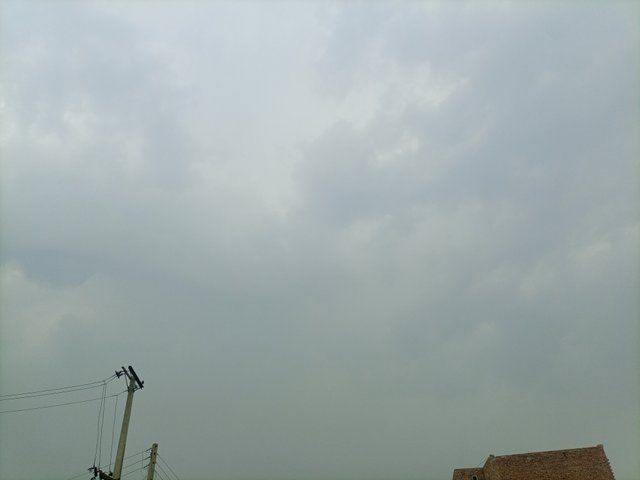 IMG_20250615_120948_632.jpg