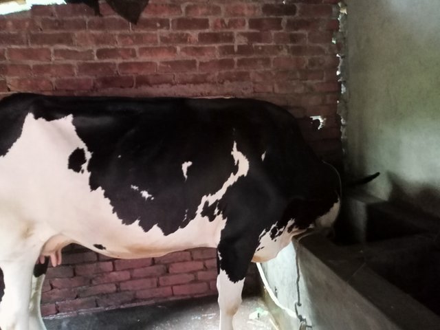 IMG20250918165901.jpg