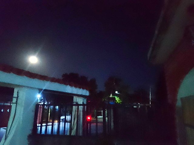 IMG_0594.jpeg