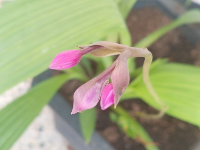 1000528637.jpg