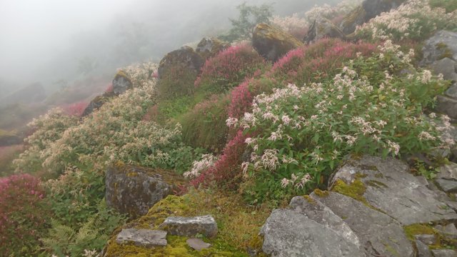 20250915_110435.jpg