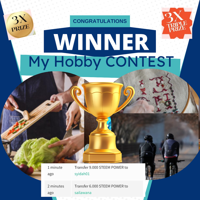 Simple Bordered Video Contest Winner Instagram Post.png