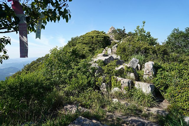 b-DSC08398.JPG