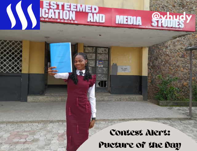 Contest Food Diarygame_20250927_132115_0000.png