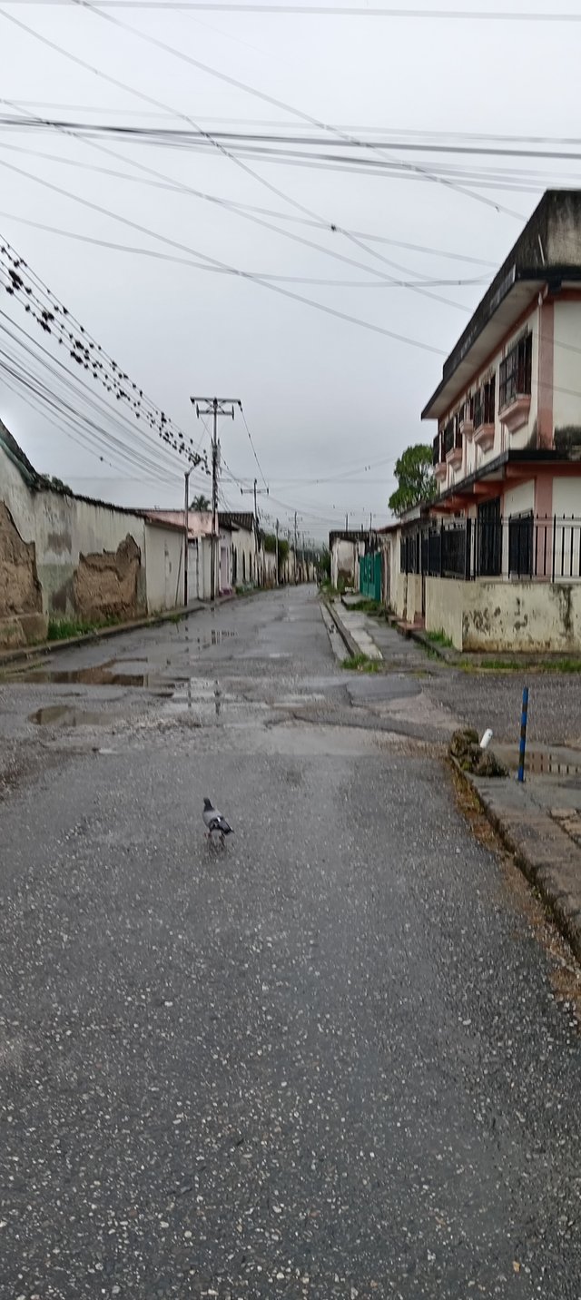 1001429458.jpg