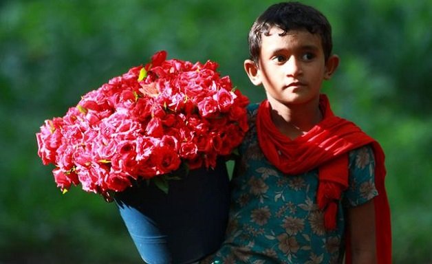 Bangaladesh-floriculture-boy.jpg