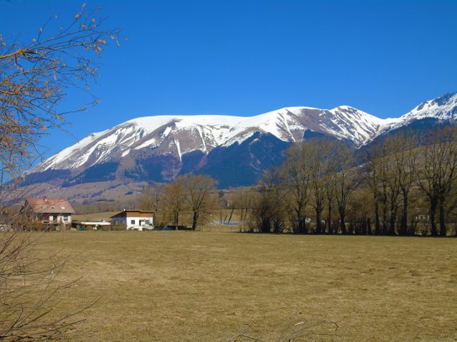 1photofeedlandscape74 (8).JPG