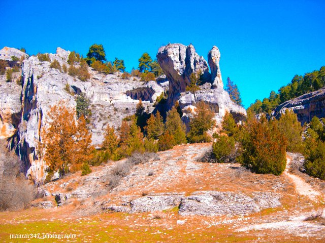 DSCN7709_edited.jpg
