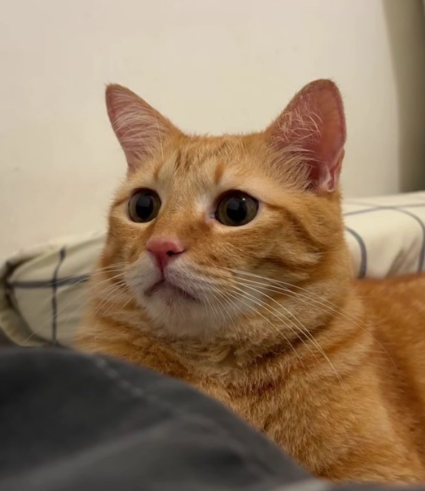 1758475503100.jpg