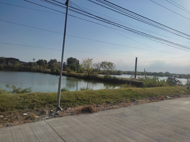 IMG_20250202_153922.jpg