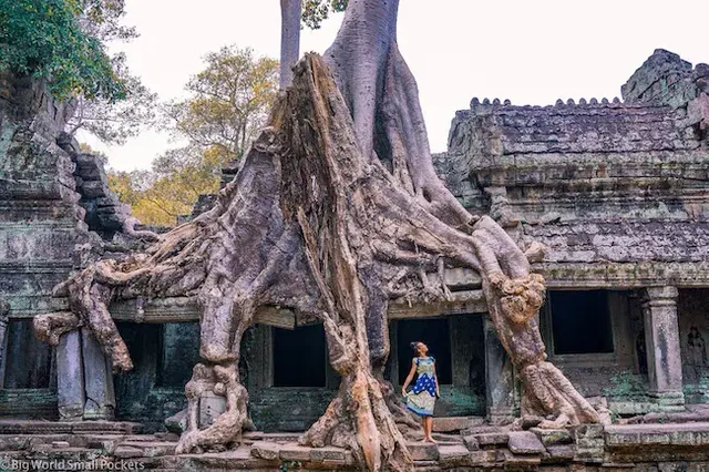 Cambodia-Angkor-Me-Under-Trees.jpg.webp