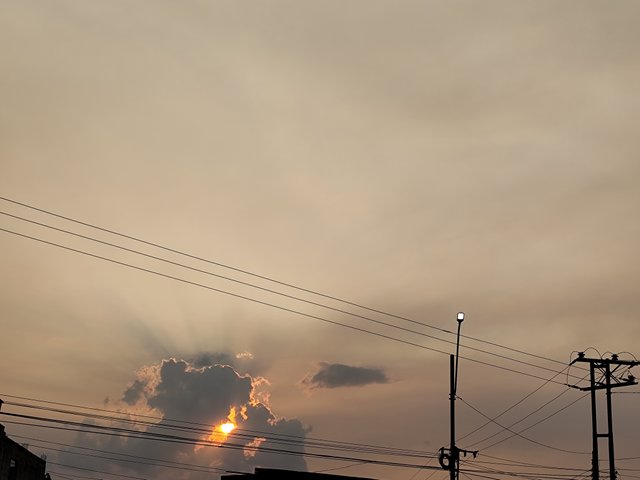 IMG_20250319_175020.jpg