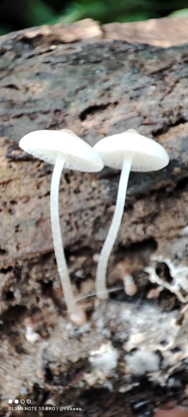 IMG_20220129_095943.jpg