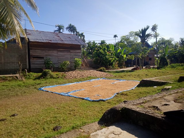 IMG20250813085057.jpg