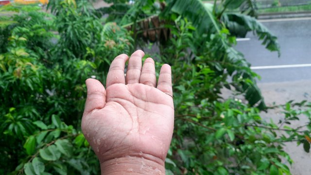 20250602_110049.jpg