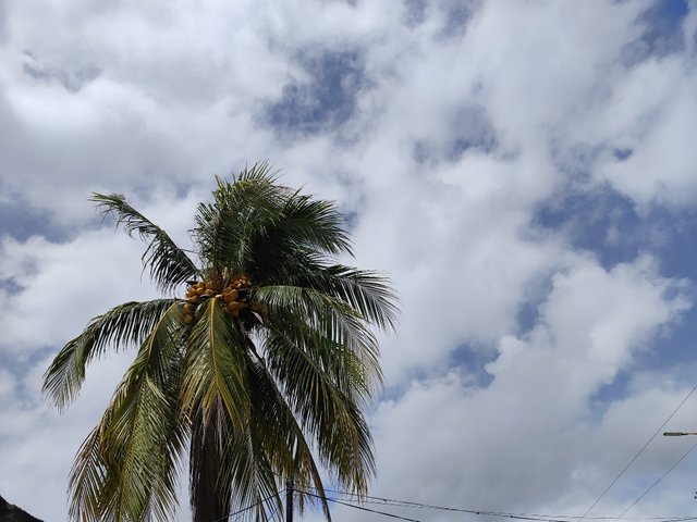 IMG_20250624_101954.jpg