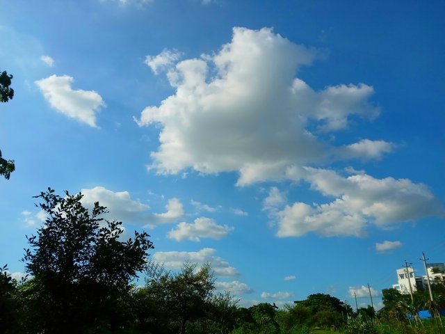 20250527_161916.jpg