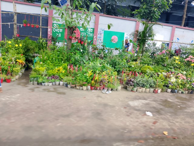 1000039512.jpg