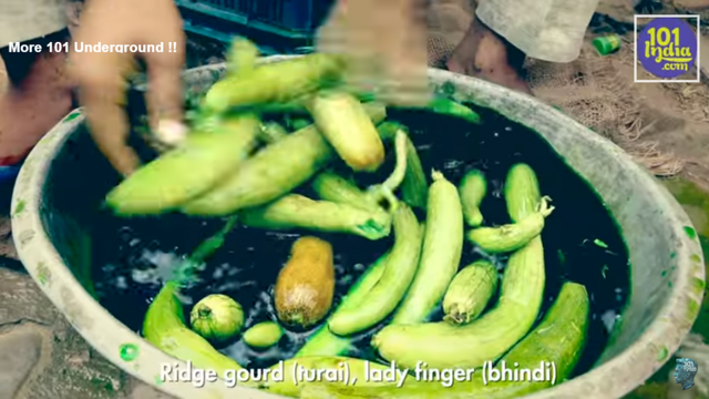 outrageous-video-shows-how-indian-farmers-dye-and-inject-vegetables-to-make-them-look-bigger-and-fresher-world-of-buzz-7-1024x576.png