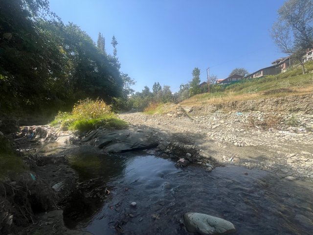 IMG_5003.jpeg