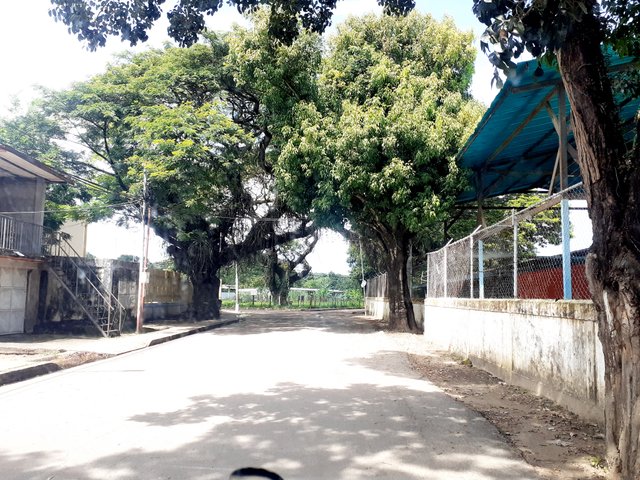 20250802_142440.jpg