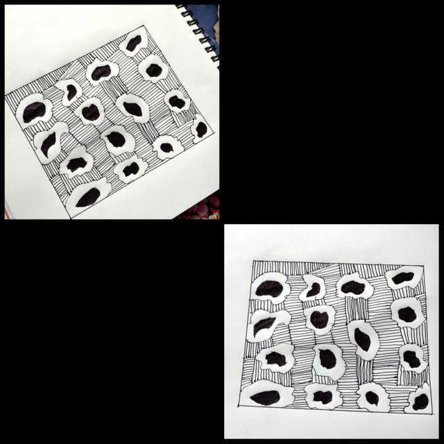 photocollage_202572722396298.jpg