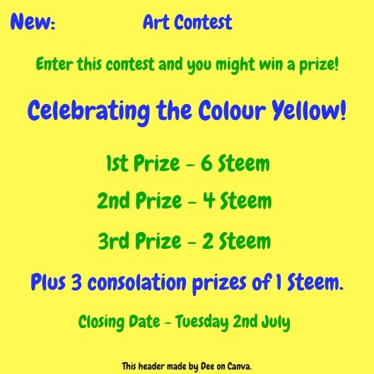 Yellow Contest.jpg