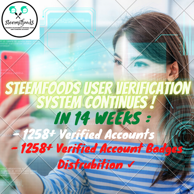 Verification System 14th Week.png