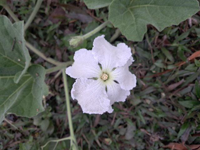 20250123_065435.jpg